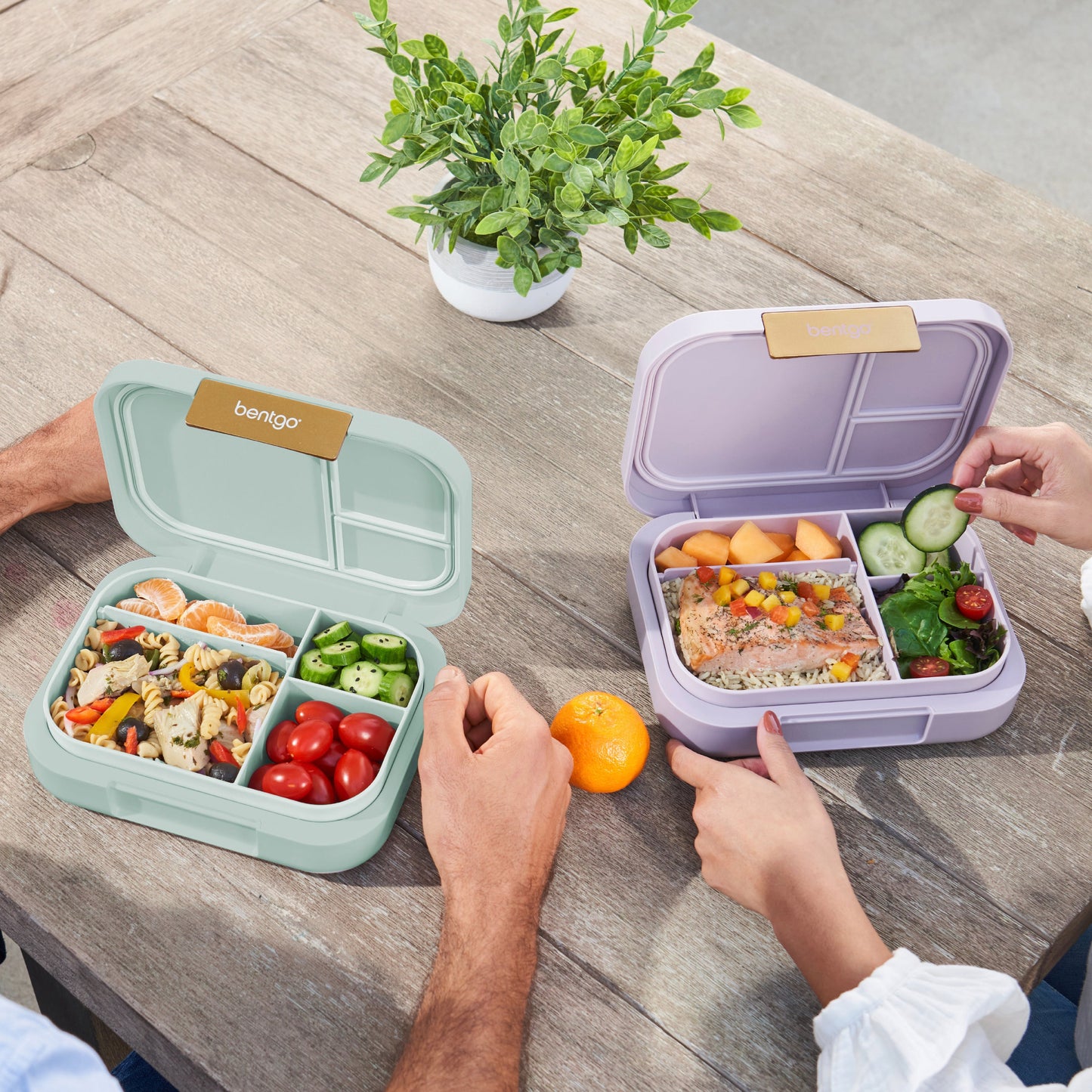 bentgo-modern-lunch-box-2-pack-z4 COSTCOBMCPRODUCTIMAGE_2.jpg